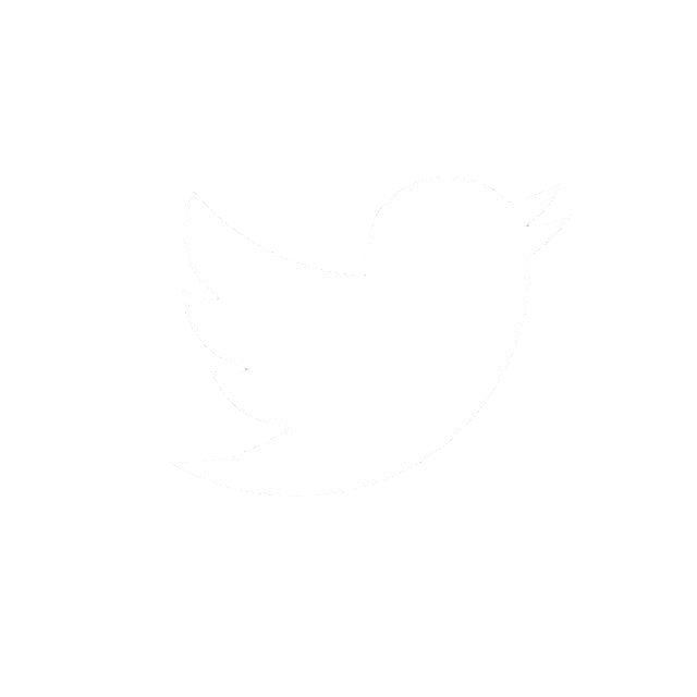 Twitter Icon